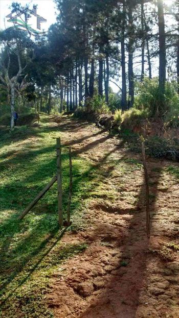Foto 20 do(a) Fazenda / Sítio / Chácara de 2 quartos à venda em Portão, Atibaia