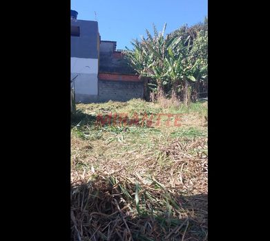 Foto 4 do(a) Terreno false à venda em Recreio São Jorge, Guarulhos