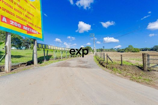 Foto 42 do(a) Fazenda / Sítio / Chácara de 2 quartos à venda em Colônia Murici, São José dos Pinhais