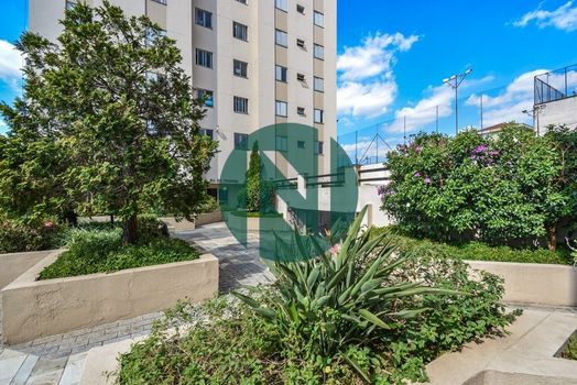 Foto 42 do(a) Apartamento de 1 quartos à venda em Cidade Vargas, São Paulo