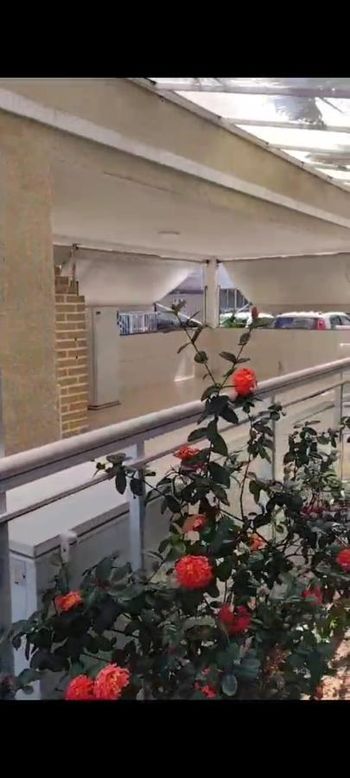 Foto 13 do(a) Apartamento de 2 quartos à venda em Parada de Lucas, Rio de Janeiro