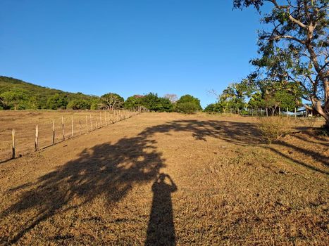Foto 35 do(a) Fazenda / Sítio / Chácara de 3 quartos à venda em null, Palmeira de Fora