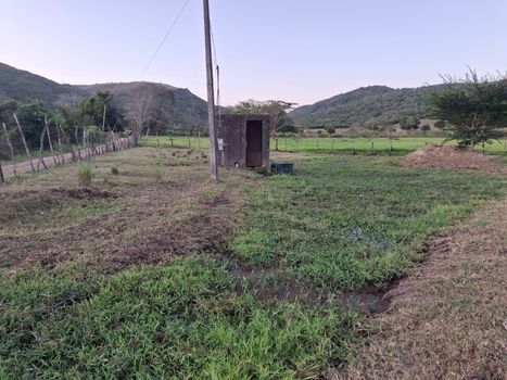 Foto 10 do(a) Fazenda / Sítio / Chácara de 3 quartos à venda em null, Palmeira de Fora
