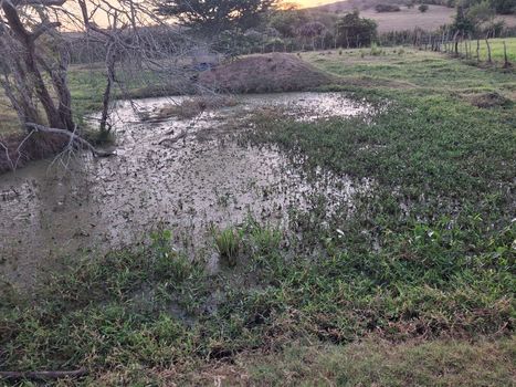 Foto 5 do(a) Fazenda / Sítio / Chácara de 3 quartos à venda em null, Palmeira de Fora