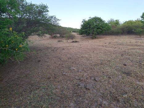 Foto 4 do(a) Fazenda / Sítio / Chácara de 3 quartos à venda em null, Palmeira de Fora