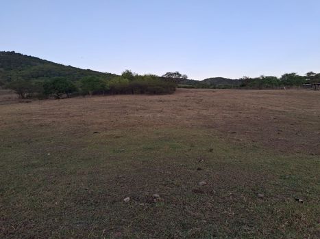 Foto 11 do(a) Fazenda / Sítio / Chácara de 3 quartos à venda em null, Palmeira de Fora