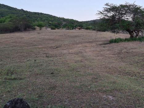 Foto 1 do(a) Fazenda / Sítio / Chácara de 3 quartos à venda em null, Palmeira de Fora