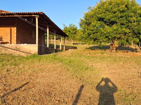 Foto 23 do(a) Fazenda / Sítio / Chácara de 3 quartos à venda em null, Palmeira de Fora