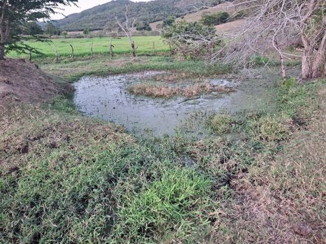 Foto 7 do(a) Fazenda / Sítio / Chácara de 3 quartos à venda em null, Palmeira de Fora