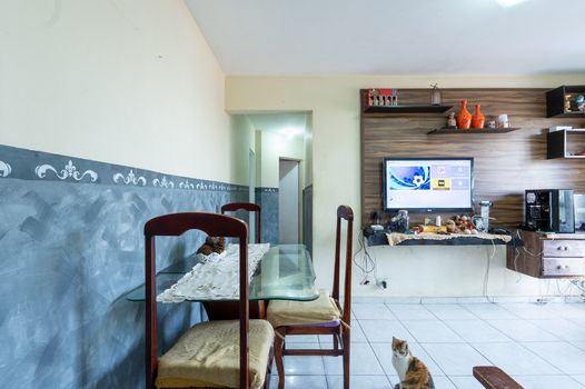 Foto 7 do(a) Apartamento de 3 quartos à venda em Vila das Belezas, São Paulo