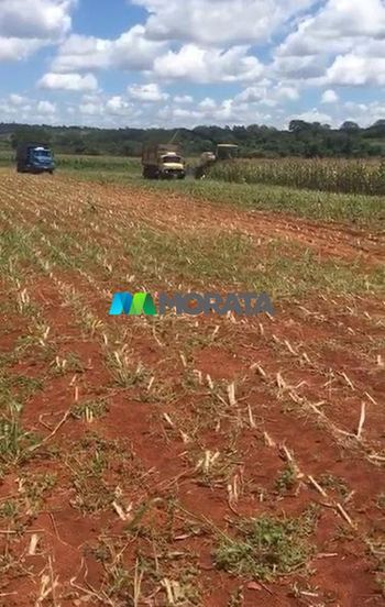Foto 3 do(a) Fazenda / Sítio / Chácara de 4 quartos à venda em null, Manga