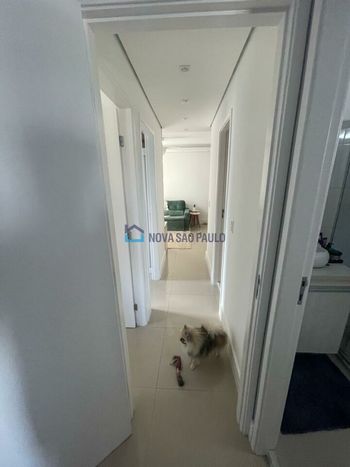 Foto 12 do(a) Apartamento de 3 quartos à venda em Vila Moreira, São Paulo