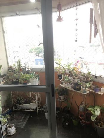 Foto 6 do(a) Apartamento de 2 quartos à venda em Cambuci, São Paulo