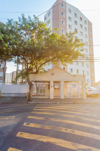 Foto 25 do(a) Apartamento de 3 quartos à venda em Vila Bancária, São Paulo