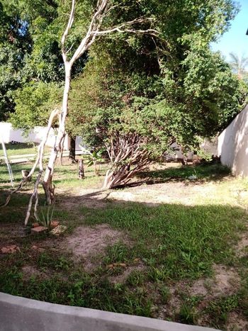 Foto 13 do(a) Fazenda / Sítio / Chácara false à venda em Jardim Paviotti, Monte Mor