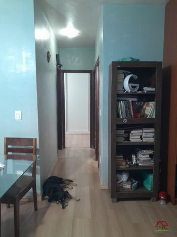 Foto 3 do(a) Apartamento de 3 quartos à venda em Cinquentenário, Belo Horizonte