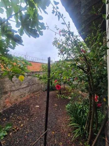 Foto 6 do(a) Casa de 3 quartos à venda em Nossa Senhora Aparecida II, Saltinho