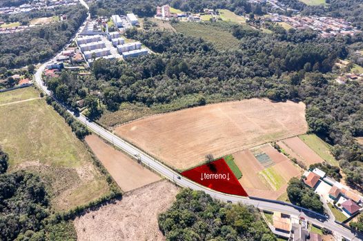 Foto 4 do(a) Terreno false à venda em Vila Santa Terezinha, Campo Largo