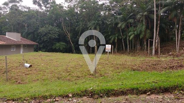 Foto 3 do(a) Terreno false à venda em null, Schroeder