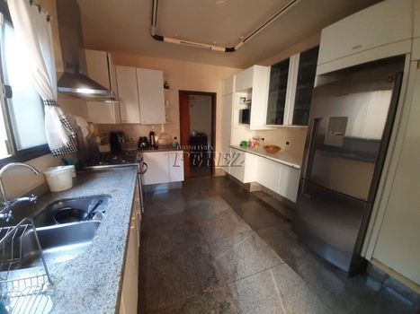 Foto 43 do(a) Casa de 4 quartos para alugar em Guanabara, Londrina
