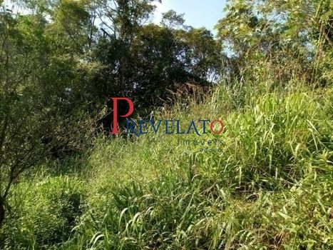 Foto 13 do(a) Fazenda / Sítio / Chácara de 3 quartos à venda em Dos Finco, São Bernardo do Campo