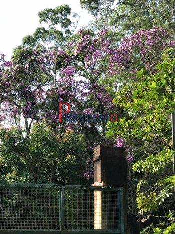 Foto 1 do(a) Fazenda / Sítio / Chácara de 3 quartos à venda em Dos Finco, São Bernardo do Campo