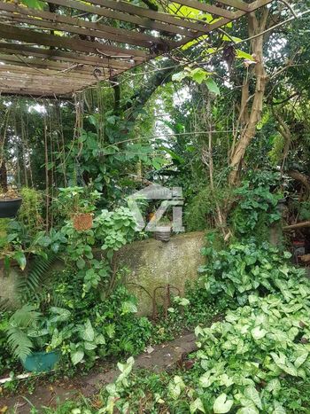 Foto 17 do(a) Casa de 2 quartos à venda em Vila Lavínia, Mogi das Cruzes