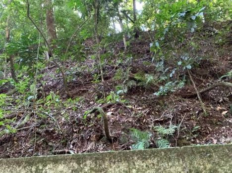 Foto 10 do(a) Terreno false à venda em Alto da Boa Vista, Rio de Janeiro