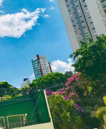 Foto 15 do(a) Apartamento de 2 quartos à venda em Parque Colonial, São Paulo