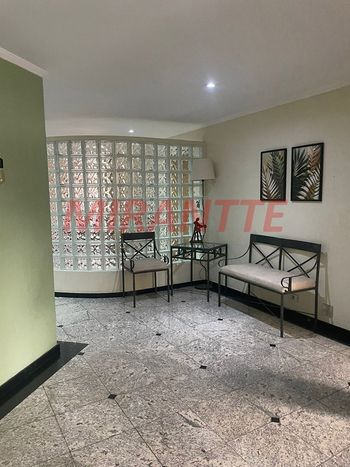 Foto 16 do(a) Apartamento de 3 quartos à venda em Vila Guilherme, São Paulo