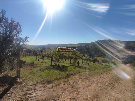 Foto 23 do(a) Fazenda / Sítio / Chácara de 2 quartos à venda em Chácaras Alpina, Valinhos