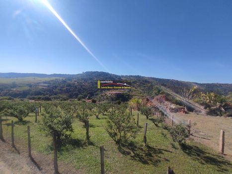 Foto 32 do(a) Fazenda / Sítio / Chácara de 2 quartos à venda em Chácaras Alpina, Valinhos
