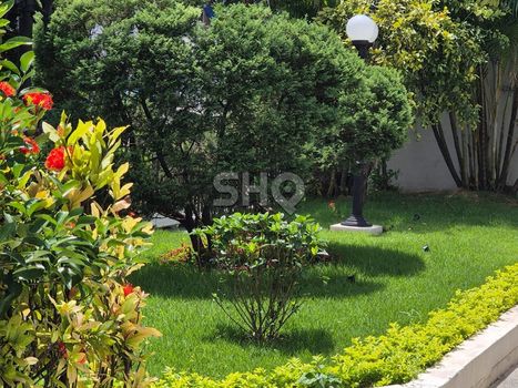 Foto 49 do(a) Apartamento de 3 quartos à venda em Parque Novo Mundo, São Paulo