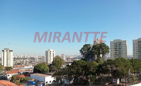 Foto 19 do(a) Apartamento de 3 quartos à venda em Vila Maria Alta, São Paulo