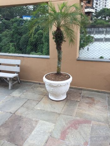 Foto 37 do(a) Apartamento de 3 quartos à venda em Jardim Ampliação, São Paulo