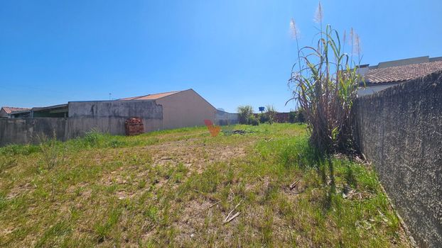 Foto 4 do(a) Terreno false à venda em Campina da Barra, Araucária