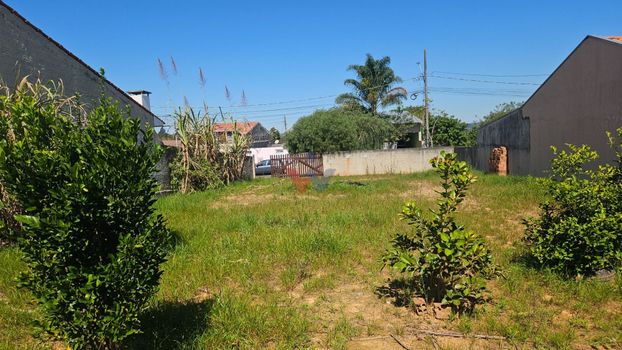 Foto 7 do(a) Terreno false à venda em Campina da Barra, Araucária