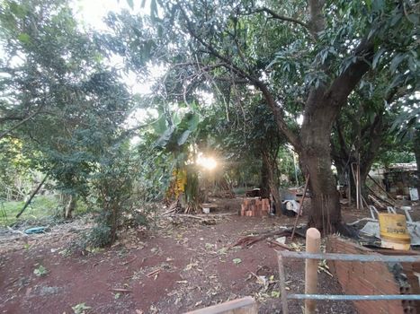 Foto 11 do(a) Fazenda / Sítio / Chácara de 3 quartos à venda em Jardim Nova Independência I, Sarandi