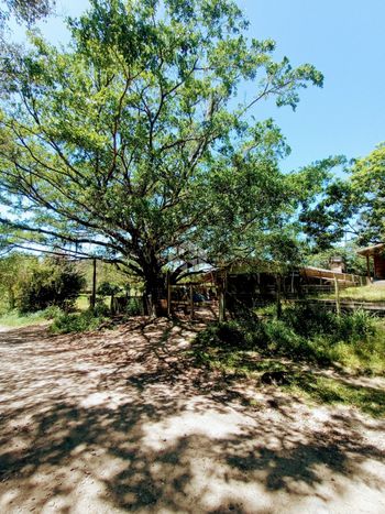 Foto 21 do(a) Fazenda / Sítio / Chácara false à venda em null, Torres