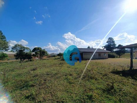 Foto 13 do(a) Fazenda / Sítio / Chácara de 6 quartos à venda em Colônia Murici, São José dos Pinhais