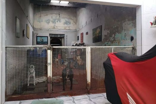 Foto 9 do(a) Casa de 3 quartos à venda em Vila Cordeiro, São Paulo