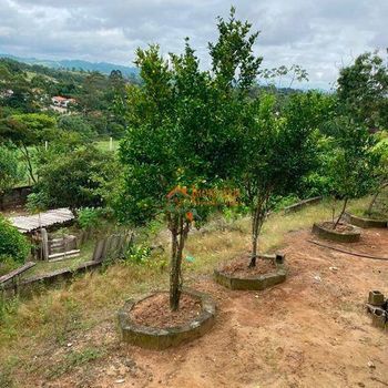 Foto 21 do(a) Fazenda / Sítio / Chácara de 3 quartos à venda em Veraneio Irajá, Jacareí