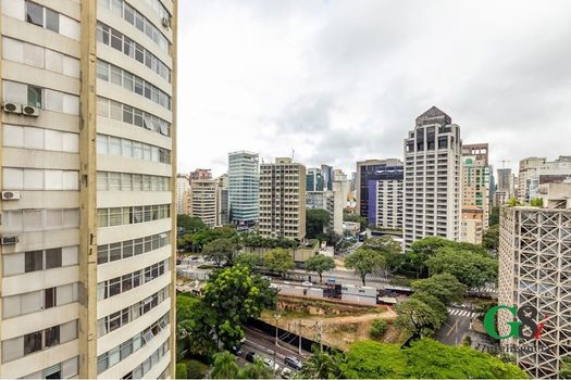 Foto 41 do(a) Apartamento de 3 quartos à venda em Jardim Paulistano, São Paulo