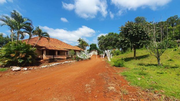 Foto 17 do(a) Fazenda / Sítio / Chácara false à venda em Recanto dos Pinheiros, Cambé