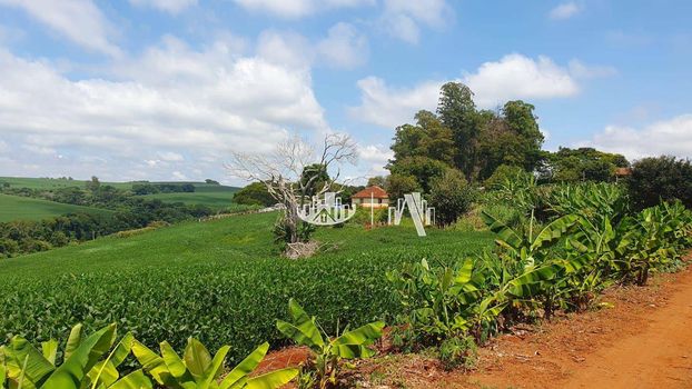 Foto 7 do(a) Fazenda / Sítio / Chácara false à venda em Recanto dos Pinheiros, Cambé