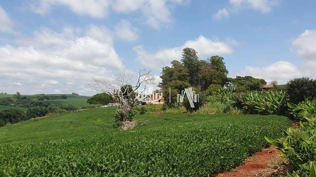 Foto 6 do(a) Fazenda / Sítio / Chácara false à venda em Recanto dos Pinheiros, Cambé