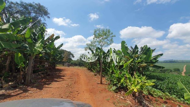 Foto 10 do(a) Fazenda / Sítio / Chácara false à venda em Recanto dos Pinheiros, Cambé