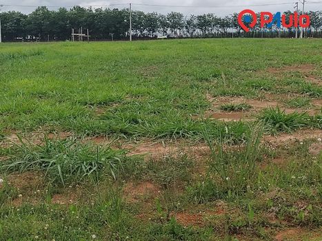 Foto 3 do(a) Terreno false à venda em Jardim Abaeté, Piracicaba