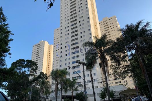 Foto 42 do(a) Apartamento de 3 quartos à venda em Vila Amélia, São Paulo