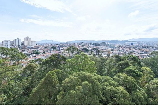 Foto 7 do(a) Apartamento de 3 quartos à venda em Vila Amélia, São Paulo